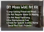 Preserved Reindeer Moss Natural Green DIY Kit Gardenning Art Wall Decor Florist Decor Easter Table Decor Wedding - Image 3