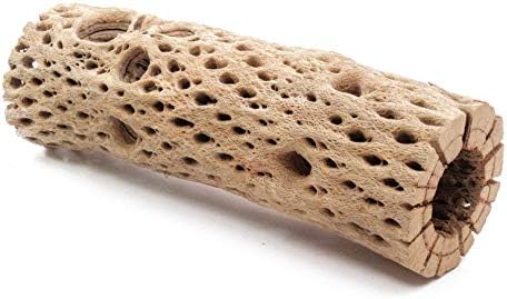 3, 6, 9, 12 Inch All Natural Teddy Bear Cholla Wood Extra Hollow Untreated Organic Aquarium Driftwood Decoration Chew Toy Shrimp Crab Cichlid Nano Tank Birds 1 or 5 Pieces (1 Piece, 9 inch) by BioactiveFX