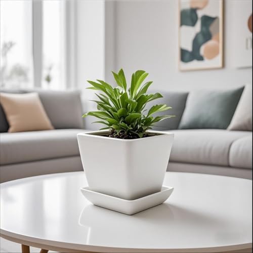 Square Ceramic Plant Saucer Tray 2 Pcs 5 6 Inch White, 6.6" OD x5.5 ID x1.1 Deep| Sturdy Heavy Duty Glazed Planter Drip Flower pots with Catch Basin for Indoor Outdoor Plants(6" White) - Image 3
