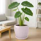 Deep Dream 10 Inch Plant Pot- Ceramic Planter Pot Round Plant Pots for Indoor Plants Outdoor Large Flower Pot with Drainage Holes & Trays, Pink - Image 4