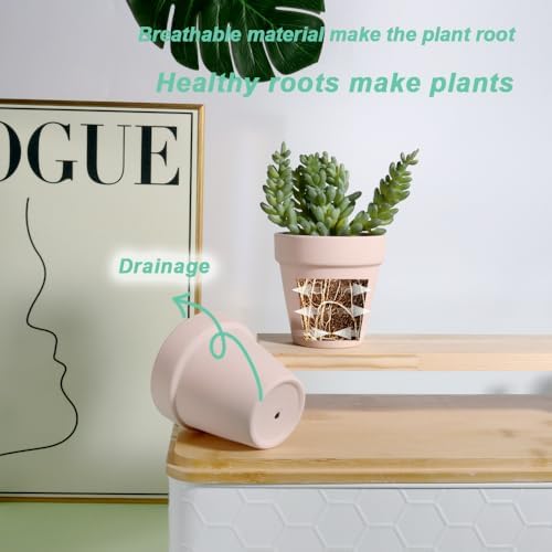 vensovo 3 Inch Pink Terracotta & Clay Pot with Drainage, 20 Pack - Image 5