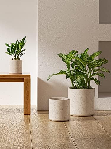 LE TAUCI 10+8+6 Inch Ceramic Pots for Plants, Indoor Planters with Drainage Hole and Plug, Modern Cylinder Flower Pots Set of 3 for Living Room and Bedroom, Glossy, Linen Birch - Image 4