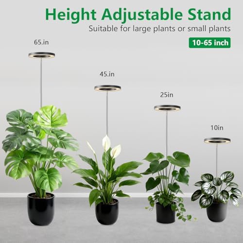 6.3in Grow Light for Indoor Plants, 15W Full Spectrum Halo Plant Lights - Image 2