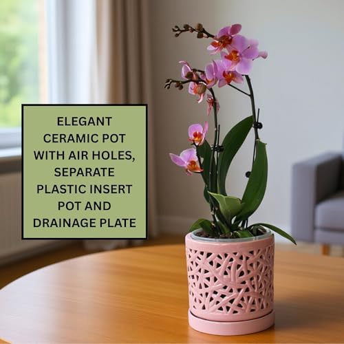 Pink Large Ceramic Orchid Pot with Holes, 6 Inches Wide, for Indoors or Outdoors with Woven String Cut Out Design, Orchid Planters, Orchid Gifts - Image 2
