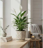 Gepege Ceramic Plant Pots, 6 Inch Indoor Planters with Drainage & Saucers - Image 6