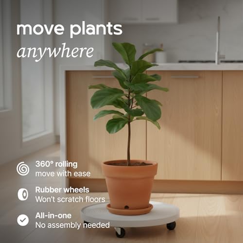 Lettuce Grow 24in Plant Dolly with Wheels | Rolling Base for Planters - Image 2