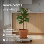 Lettuce Grow 24in Plant Dolly with Wheels | Rolling Base for Planters - Image 2