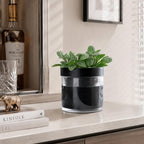 Phoenix Vine 4 Inch Self Watering Planter Pot, Black Terracotta Clay Pot with Glass Reservoir for Indoor Plants, Herbs, Flowers, Set of 3, 52-C-E-3 - Image 4