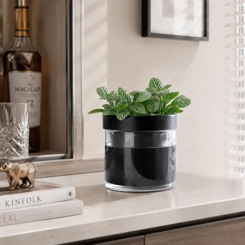Phoenix Vine 4 Inch Self Watering Planter Pot, Black Terracotta Clay Pot with Glass Reservoir for Indoor Plants, Herbs, Flowers, Set of 3, 52-C-E-3 - Image 4