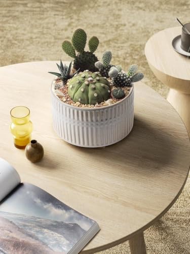 LE TAUCI Succulent Pots, 6.5+8 Inch Ceramic Indoor Plant Pot with Drainage Hole, Shallow Round Succulent Planters, Set of 2, Reactive Glaze Star White - Image 5