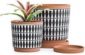 D'vine Dev Set of 2 Terracotta Pots, 4 Inch and 6 Inch, Planter Pots for Plants with Drainage Holes and Saucers, Pottery Red/Black, 31-958-B-2 by DvineDevPlanterPotsandStand