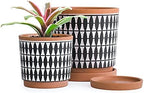 D'vine Dev Set of 2 Terracotta Pots, 4 Inch and 6 Inch, Planter Pots for Plants with Drainage Holes and Saucers, Pottery Red/Black, 31-958-B-2 by DvineDevPlanterPotsandStand