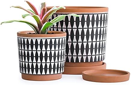 D'vine Dev Set of 2 Terracotta Pots, 4 Inch and 6 Inch, Planter Pots for Plants with Drainage Holes and Saucers, Pottery Red/Black, 31-958-B-2 by DvineDevPlanterPotsandStand