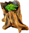Vintage Cement Planter with Imitation Tree Root Texture for Succulents Bonsais Garden Display Decorating Indoor Outdoor(08 Models) by Unknown