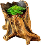 Vintage Cement Planter with Imitation Tree Root Texture for Succulents Bonsais Garden Display Decorating Indoor Outdoor(08 Models) by Unknown