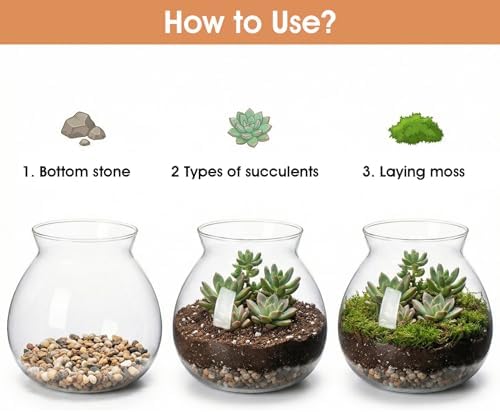 Terrarium Jar, 1800ml Glass Plant Terrarium, Closed Container with Cork Lid for Succulents, Fish Bowl Vase Container - Image 4
