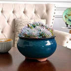 8 Inch Succulent Pot with Drainage and Saucer Glazed Terracotta Round Ceramic Succulent Planter Cactus Bonsai Plant Pot (Dark Green) - Image 6