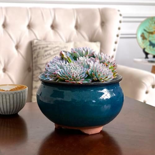 8 Inch Succulent Pot with Drainage and Saucer Glazed Terracotta Round Ceramic Succulent Planter Cactus Bonsai Plant Pot (Dark Green) - Image 6