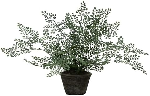 Nearly Natural 4251 Maiden Hair Artificial Plant in Planter Green Small by NearlyNatural
