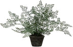 Nearly Natural 4251 Maiden Hair Artificial Plant in Planter Green Small by NearlyNatural