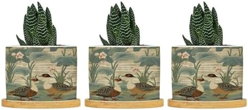 Garden Ceramic Planters Snake Plant Live Indoor with Pot with Drainage Holes and Saucers Pot for Pots Outdoor Indoor Plants by BRUYU5SE