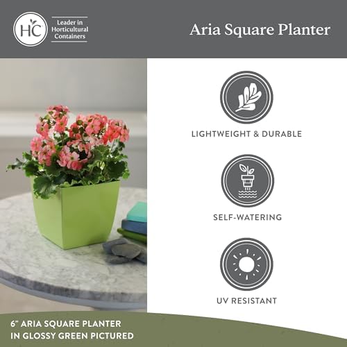 The HC Companies 10 Inch Aria Square Self Watering Planter - Plastic Plant Pot for Indoor Outdoor Plants Flowers Herbs, Warm Gray - Image 4