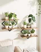 Bamworld Floating Shelves for Wall Planters Indoor Hanging Plant Shelves by Bamworld