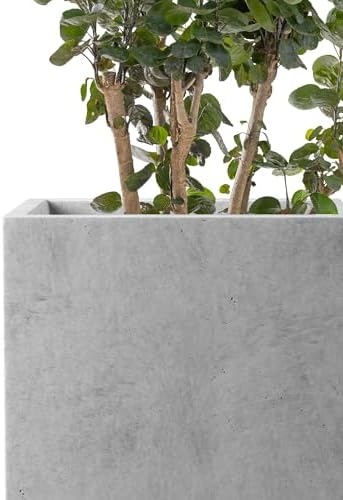 Kante Modern Home Minimalist 16" Tall Pale Gray Concrete Tall Planter - Image 7