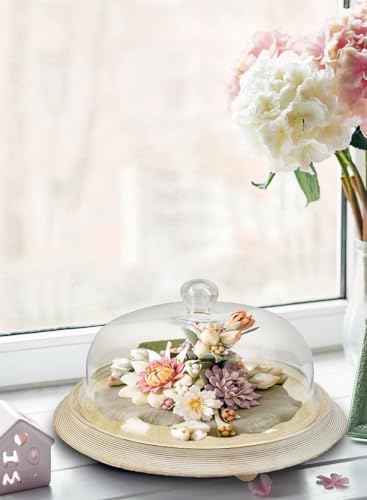 Serene Spaces Living Curio Glass Dome with Natural Wooden Base, Airplants, Flower Blooms, Accessories, Photos, Candles, Dessert Display, Home, Office Decor, Gift Idea - 12" Diameter & 6" Tall - Image 4
