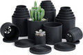D'vine Dev 20-Pack Plastic Pots with Saucers, 2-4 in, Black, 74-U-B by DvineDevPlanterPotsandStand