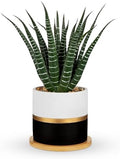 Briful Artificial Succulent Plant in Pot with Bamboo Tray, Faux Agave Potted Plant, Realistic Aloe Fake Plant for Home, Office Desk, Shelf, Modern Indoor Decoration by Briful