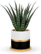 Briful Artificial Succulent Plant in Pot with Bamboo Tray, Faux Agave Potted Plant, Realistic Aloe Fake Plant for Home, Office Desk, Shelf, Modern Indoor Decoration by Briful