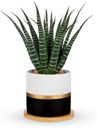 Briful Artificial Succulent Plant in Pot with Bamboo Tray, Faux Agave Potted Plant, Realistic Aloe Fake Plant for Home, Office Desk, Shelf, Modern Indoor Decoration by Briful