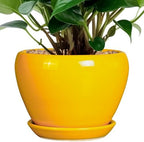Ceramicfor Ceramic Pot for Plants - 6 Inch Plant Pot Glaze Modern Decorative Round Planter with Drainage Hole and Saucer for Home Patio Room Office House Decor, Yellow by Ceramicfor