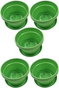 7in Pot and Saucer Lime Green Set of 5 by AustinPlanter
