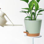 Self Watering Green Plastic Plant Pot Flower Planters with Drainage Hole And Deep Reservoir Large Planting Pots for for All Houseplants,Succulent, African Violets, Flowers and Cactus 12Inch/2pcs - Image 7