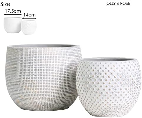 Olly & Rose Ceramic Cream Gold Plant Pot Set 2-6.8" and 5.5" Indoor Planters Cement Outdoor Flower Pots - Image 5