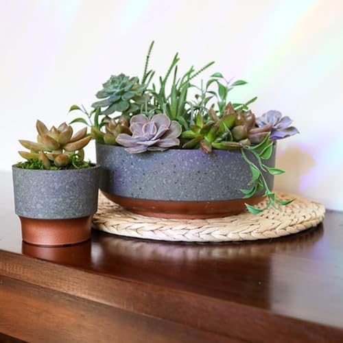 The HC Companies 8 Inch Capri Bowl Planter, Faux Concrete, 20-Pack - Image 7