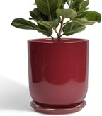 Ceramic Planter for Plants - 10 Inch Plant Pot Indoor with Drainage Hole and Saucer Modern Large Outdoor Planter Flower Pot for Home Decor Red by SUNPOTFOR