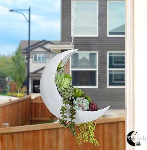 Hanging Moon Planter for Moon Room Decor - Great for Succulents, Air Plant, Mini Cactus, Faux, Artificial Plants-Boho Hanging Planters for Indoor Plants, Witchy Gifts for Women, Birthdays,Plant Lovers - Image 4