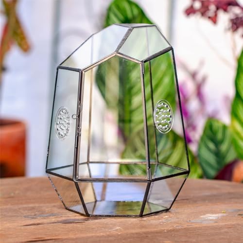 NCYP Closed Geometric Glass Enclosure with Front Opening Door & 2 Vent Holes for Insects, Snail, Moss, Fern - 7.9"x6.9"x9.8" Black Irregular Terrarium - Home Garden Tabletop Decor (No Plants) - Image 4