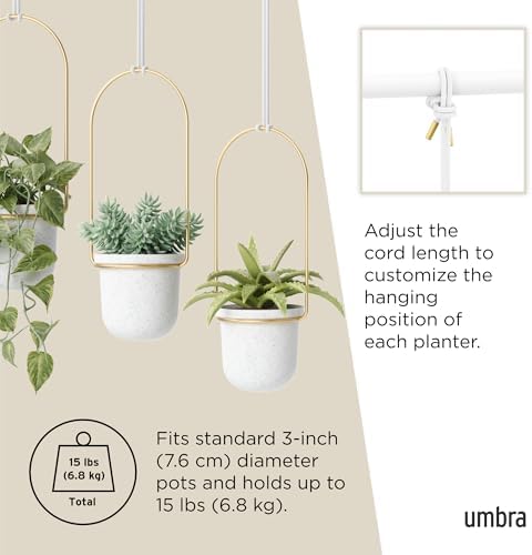Umbra Triflora Hanging Planter, Indoor Herb Garden, Set of 3, White/Brass - Image 5
