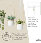 Umbra Triflora Hanging Planter, Indoor Herb Garden, Set of 3, White/Brass - Image 5