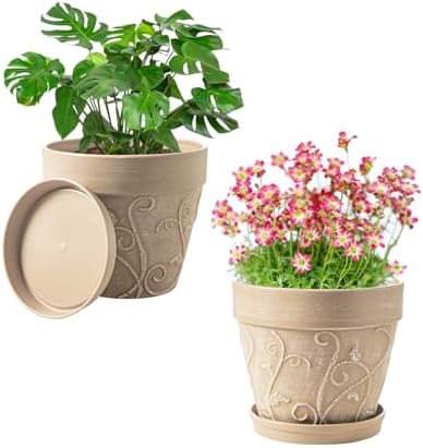 Indoor Plant Pots and Succulent Tools - Image 2