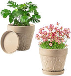 Indoor Plant Pots and Succulent Tools - Image 2