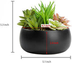 MyGift Mini Assorted Artificial Succulent Plants Black Ceramic Planter Bowl - Image 7