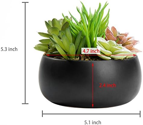 MyGift Mini Assorted Artificial Succulent Plants Black Ceramic Planter Bowl - Image 7