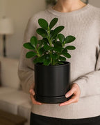 D'vine Dev 2-Pack Ceramic Pots with Saucers, Black, 4/6 in, 94-G-S-2 - Image 2