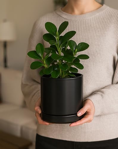D'vine Dev 2-Pack Ceramic Pots with Saucers, Black, 4/6 in, 94-G-S-2 - Image 2