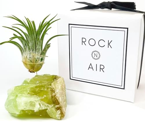 Green Calcite Air Plant Holder with Healthy Live Tillandsia - Raw Crystal Zen Office Decor - Unique Healing Stone Desk Accessory - Includes Gift Box & Care Guide - Heart Chakra Stone - Image 2